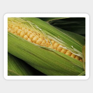 Ripe Corn Sticker